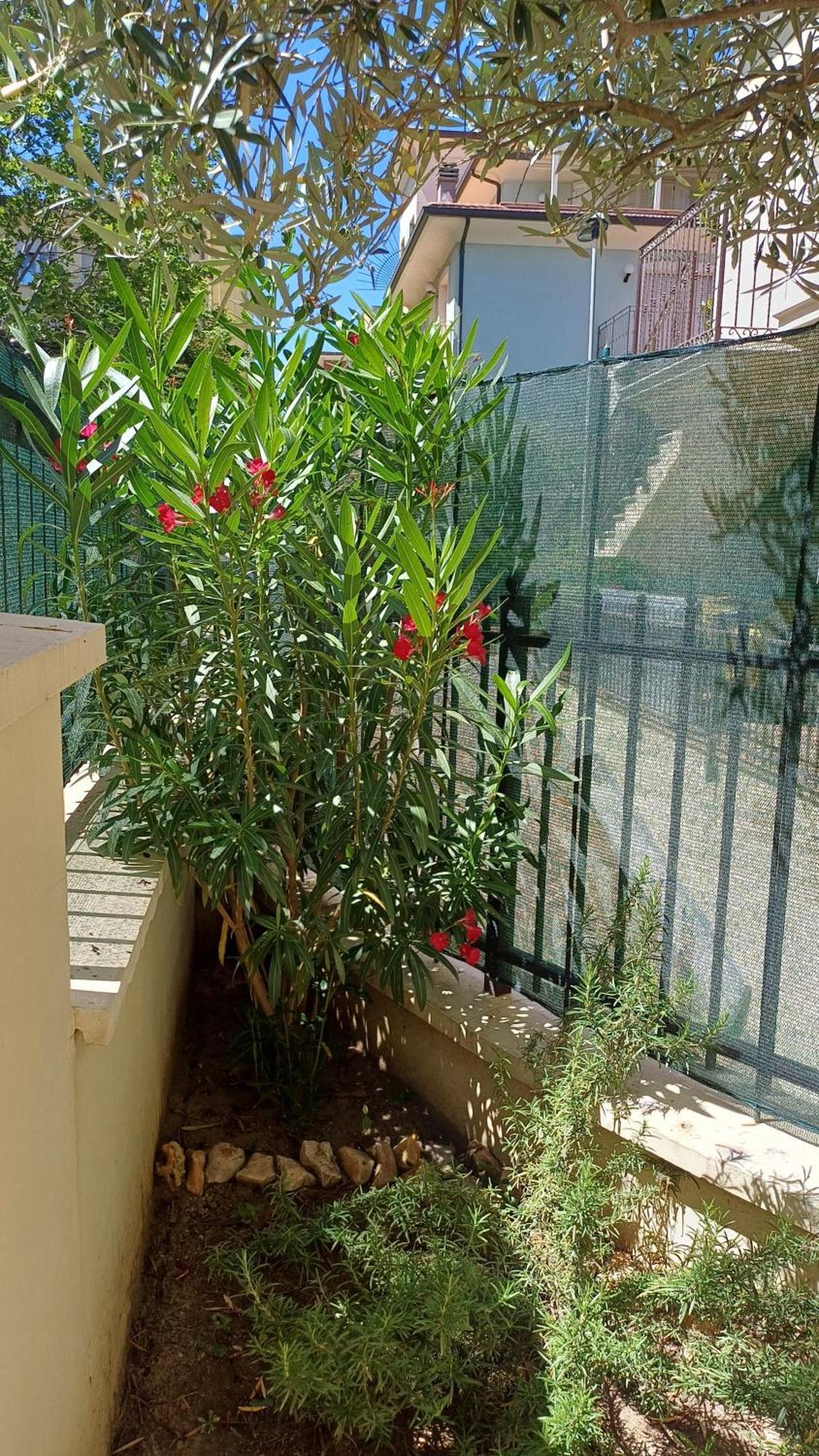 ريميني Residence Ducale المظهر الخارجي الصورة